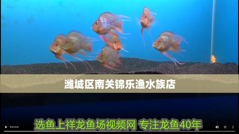 濰城區南關錦樂漁水族店