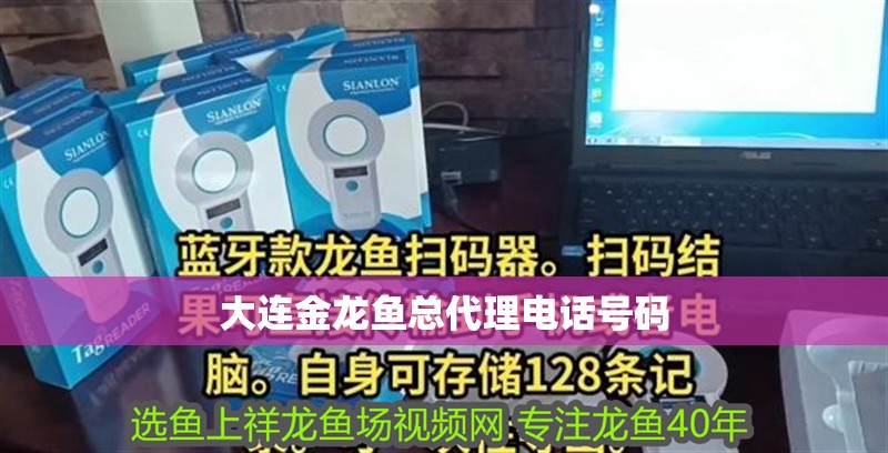 龍魚離水多久會死：六角龍魚離水多久會死