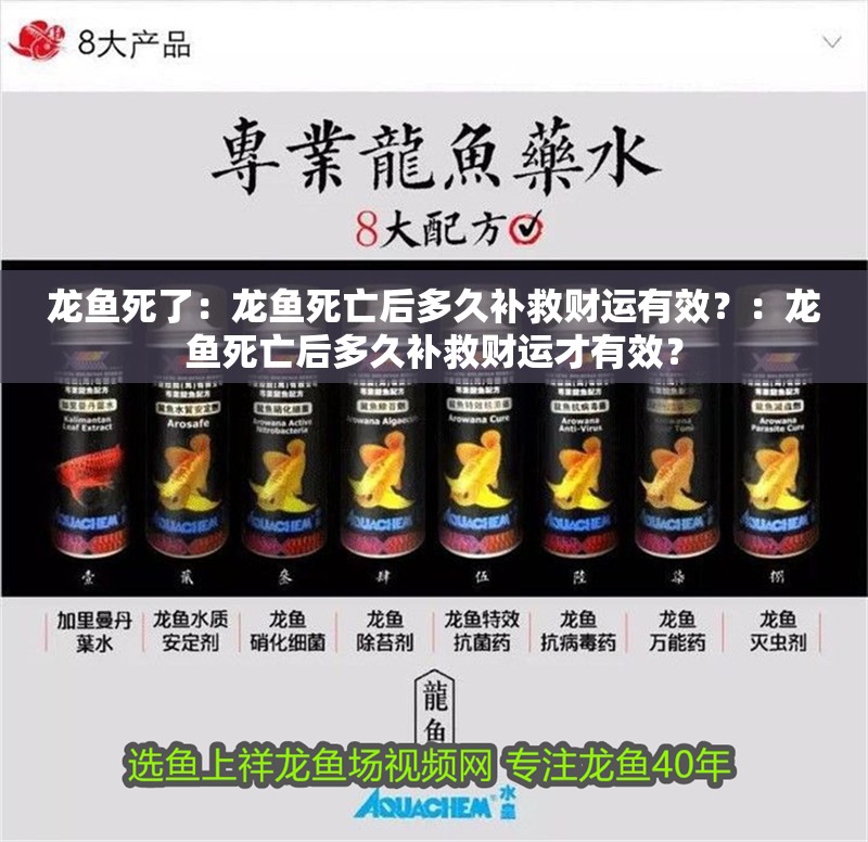 龍魚死了：龍魚死亡后多久補救財運有效？：龍魚死亡后多久補救財運才有效？