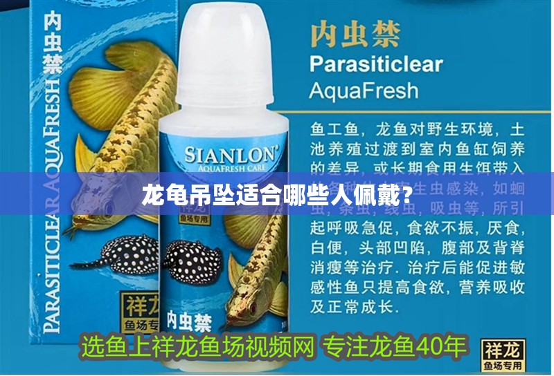 龍龜?shù)鯄嬤m合哪些人佩戴？