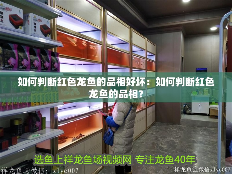 如何判斷紅色龍魚的品相好壞：如何判斷紅色龍魚的品相？