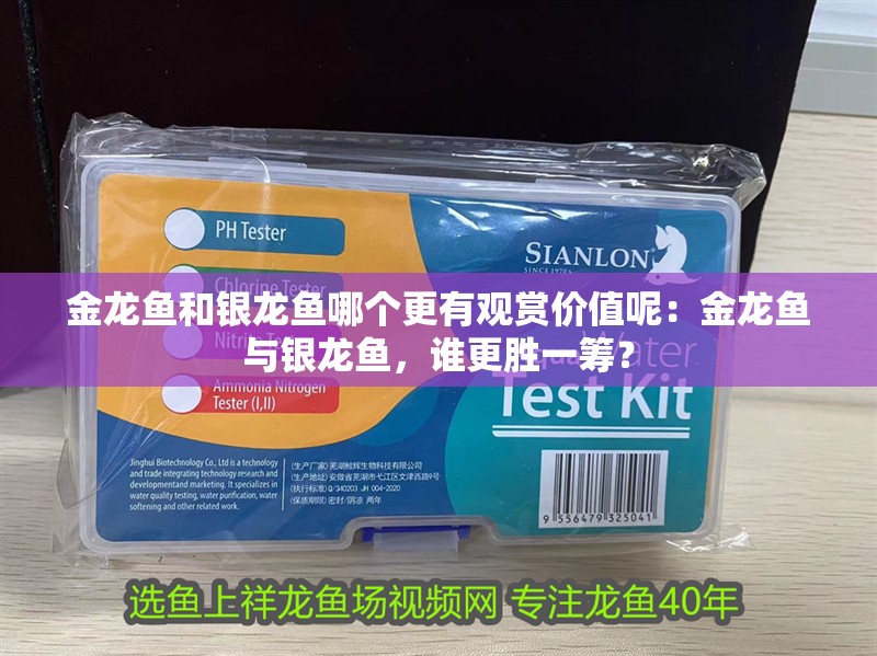 金龍魚和銀龍魚哪個更有觀賞價值呢：金龍魚與銀龍魚，誰更勝一籌？