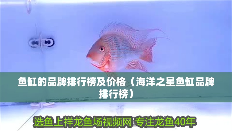 魚缸的品牌排行榜及價格（海洋之星魚缸品牌排行榜）