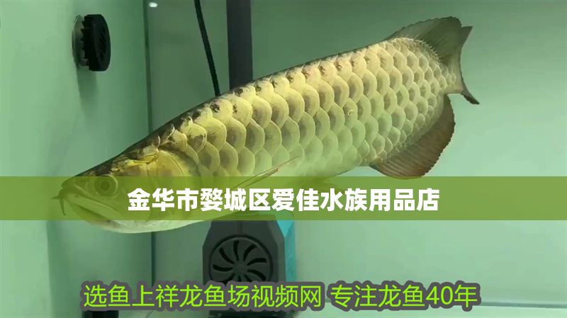 金華市婺城區愛佳水族用品店 全國水族館企業名錄 第1張 金華市婺城區愛佳水族用品店 金華市婺城區愛佳水族用品店 全國水族館企業名錄 第1張