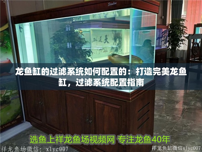 龍魚缸的過濾系統如何配置的：打造完美龍魚缸，過濾系統配置指南