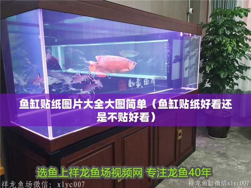 魚缸貼紙圖片大全大圖簡(jiǎn)單（魚缸貼紙好看還是不貼好看）