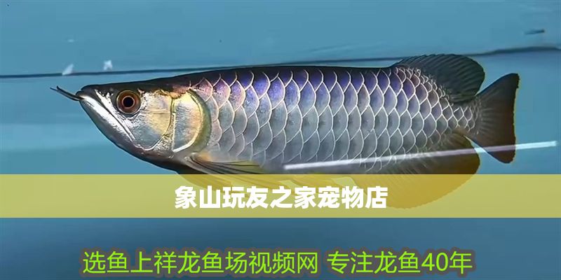 象山玩友之家寵物店 象山玩友之家寵物店 全國水族館企業(yè)名錄 第1張