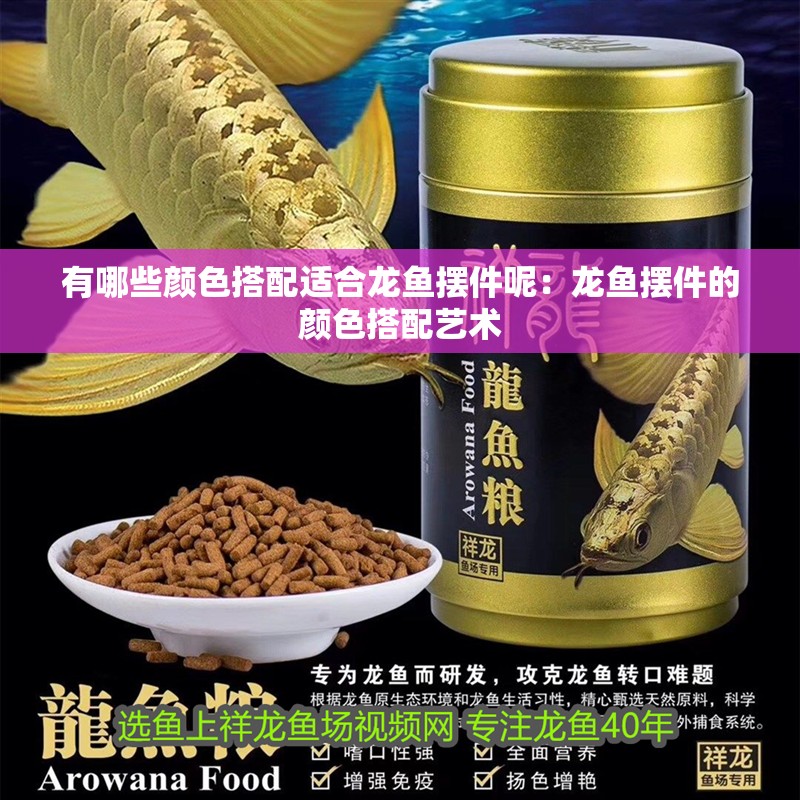 有哪些顏色搭配適合龍魚擺件呢：龍魚擺件的顏色搭配藝術