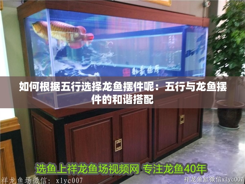 如何根據五行選擇龍魚擺件呢：五行與龍魚擺件的和諧搭配