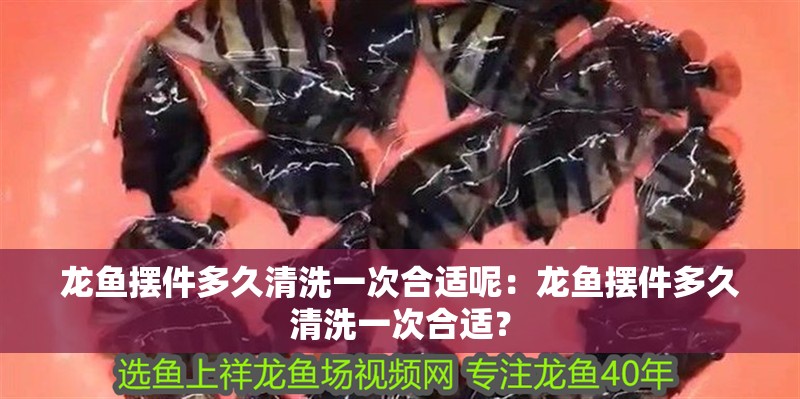 過背金龍魚能長(zhǎng)多大的魚（過背金龍魚一個(gè)月能長(zhǎng)多少360問答金龍魚能長(zhǎng)多大）