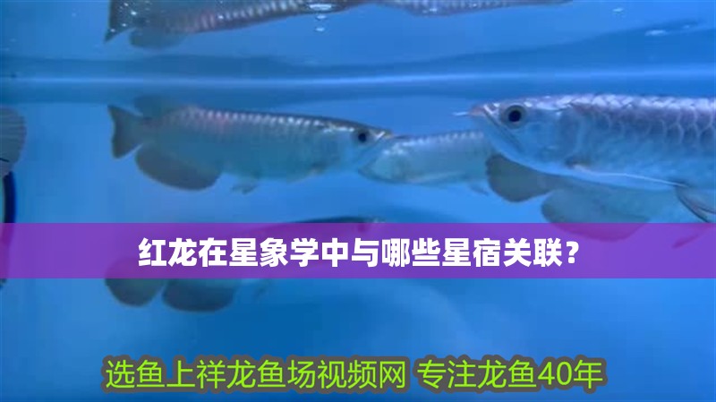 紅龍在星象學中與哪些星宿關聯？