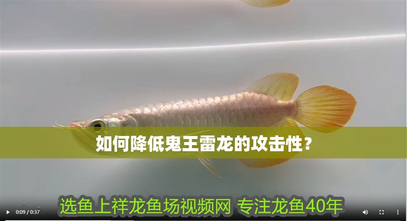如何降低鬼王雷龍的攻擊性？