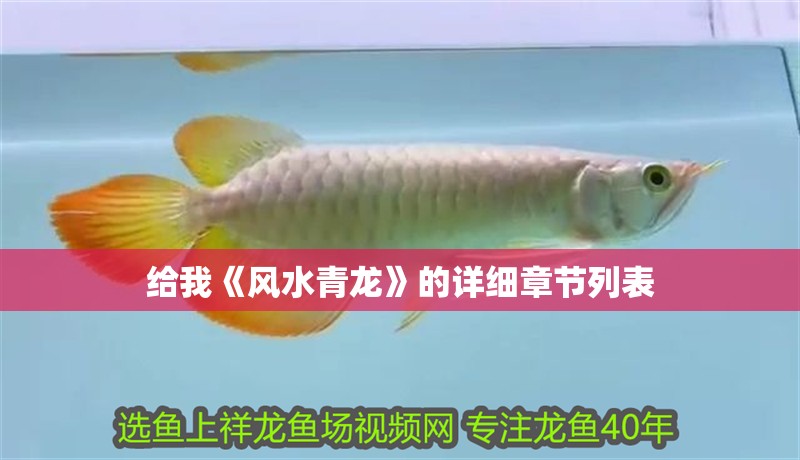給我《風水青龍》的詳細章節列表
