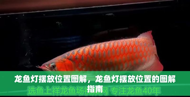 龍魚燈擺放位置圖解，龍魚燈擺放位置的圖解指南