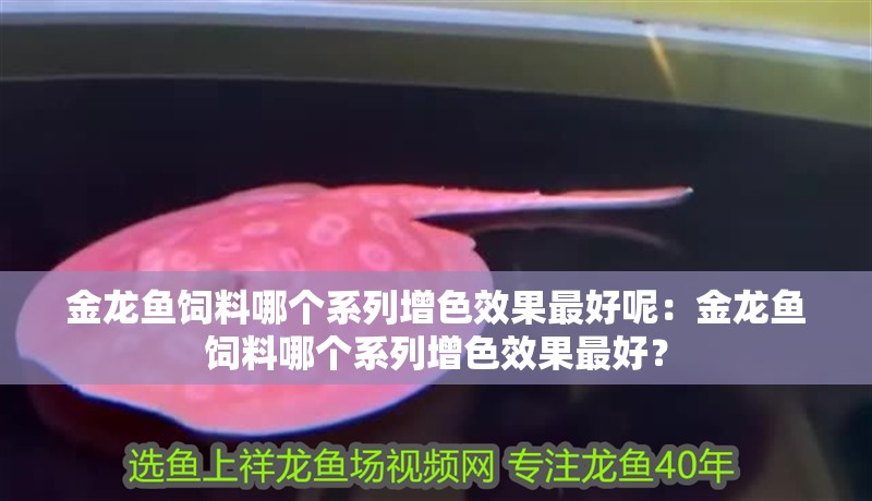 金龍魚飼料哪個(gè)系列增色效果最好呢：金龍魚飼料哪個(gè)系列增色效果最好？