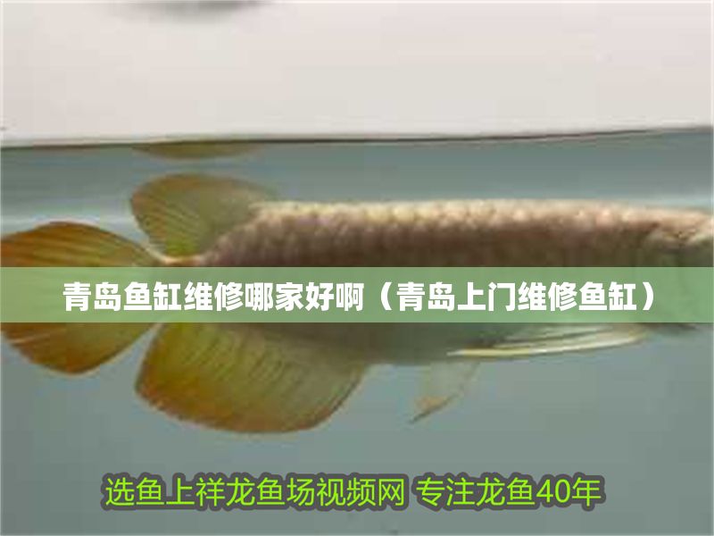 青島魚(yú)缸維修哪家好啊（青島上門(mén)維修魚(yú)缸）