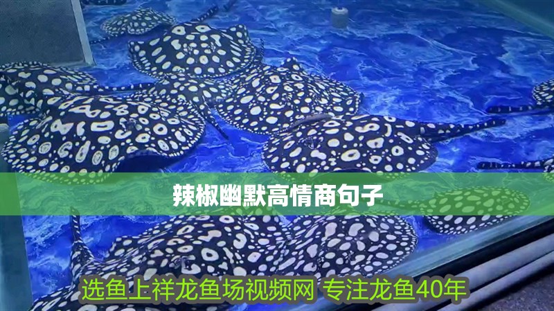 辣椒幽默高情商句子