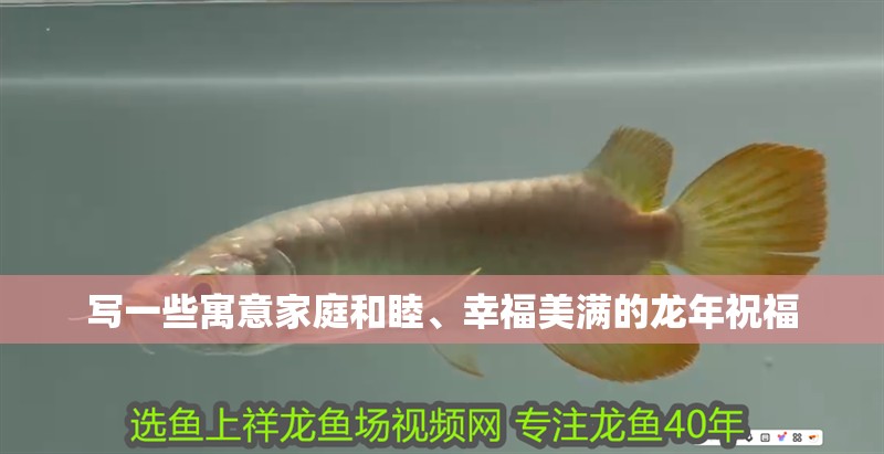 寫一些寓意家庭和睦、幸福美滿的龍年祝福