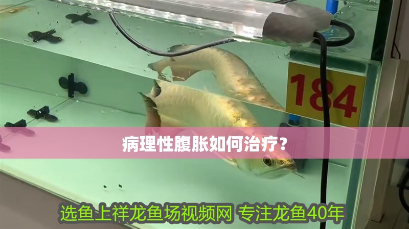 病理性腹脹如何治療？