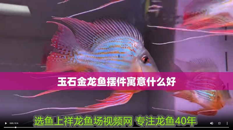 玉石金龍魚擺件寓意什么好