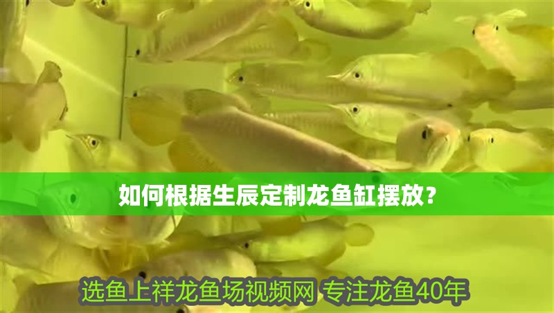 如何根據生辰定制龍魚缸擺放？