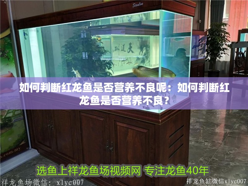 如何判斷紅龍魚是否營養不良呢：如何判斷紅龍魚是否營養不良？