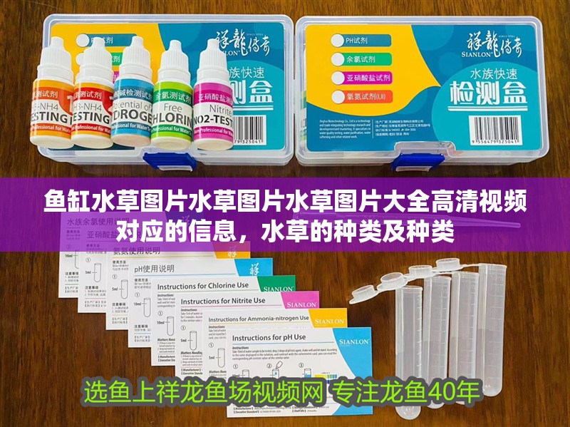 魚缸水草圖片水草圖片水草圖片大全高清視頻對應的信息，水草的種類及種類
