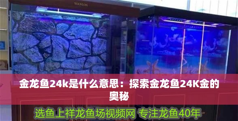 金龍魚24k是什么意思：探索金龍魚24K金的奧秘