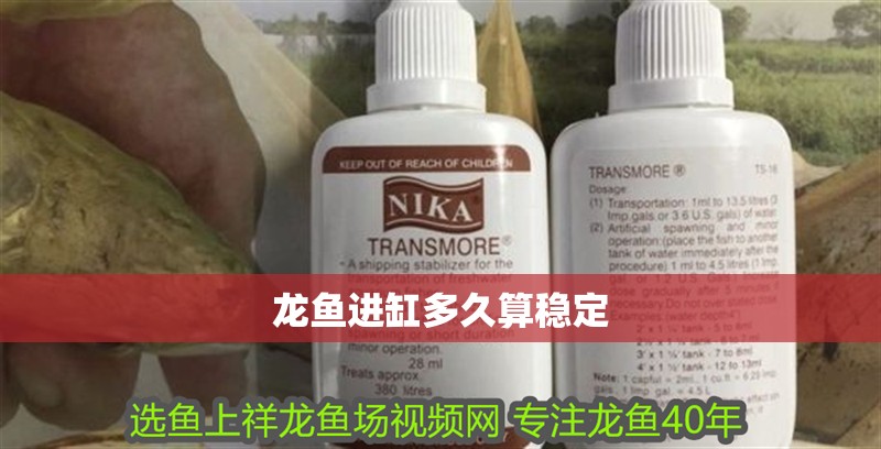 龍魚進(jìn)缸多久算穩(wěn)定
