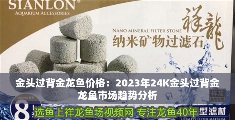 金頭過背金龍魚價格：2023年24K金頭過背金龍魚市場趨勢分析