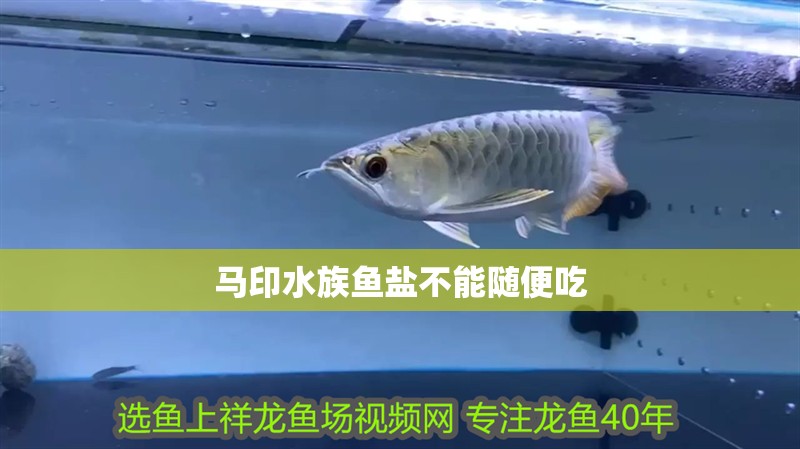 馬印水族魚鹽不能隨便吃