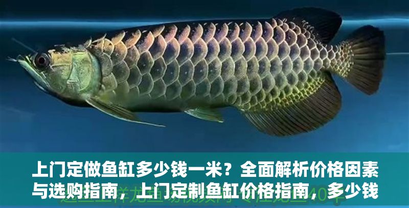 上門定做魚缸多少錢一米？全面解析價(jià)格因素與選購指南，上門定制魚缸價(jià)格指南，多少錢一米及關(guān)鍵選購因素解析
