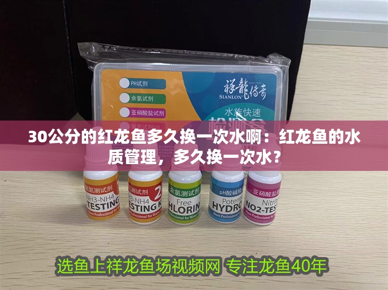 30公分的紅龍魚多久換一次水啊：紅龍魚的水質管理，多久換一次水？