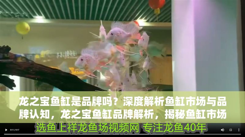 龍之寶魚缸是品牌嗎?深度解析魚缸市場與品牌認知,龍之寶魚缸品牌解析,揭秘魚缸市場與消費者認知