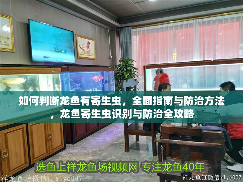 如何判斷龍魚有寄生蟲，全面指南與防治方法，龍魚寄生蟲識別與防治全攻略