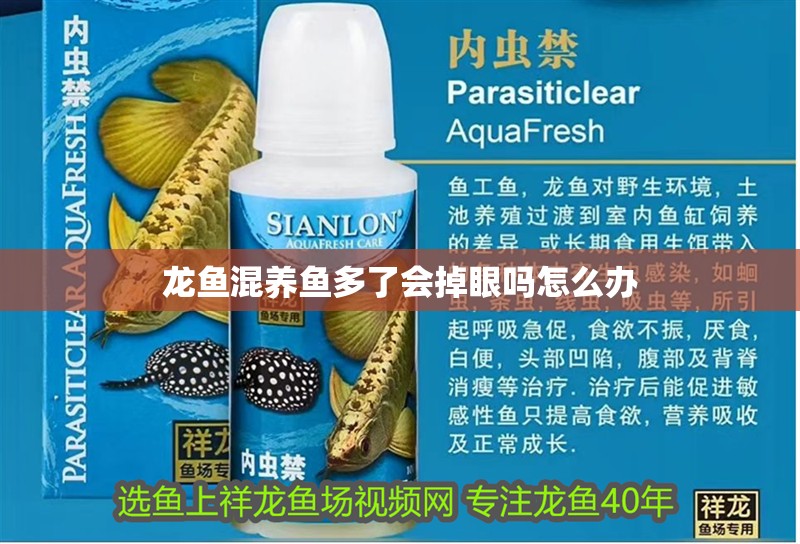 龍魚混養魚多了會掉眼嗎怎么辦