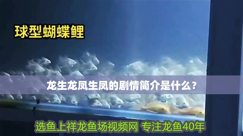 龍生龍鳳生鳳的劇情簡介是什么？