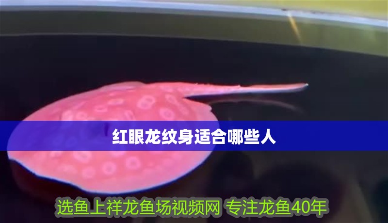 紅眼龍紋身適合哪些人