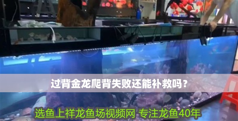 過背金龍爬背失敗還能補救嗎？