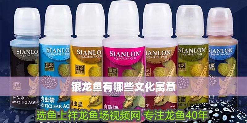 銀龍魚(yú)有哪些文化寓意