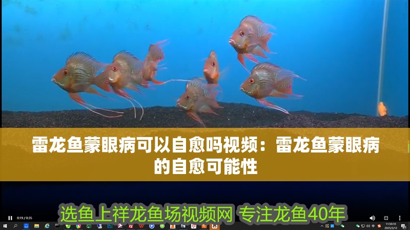 雷龍魚蒙眼病可以自愈嗎視頻：雷龍魚蒙眼病的自愈可能性