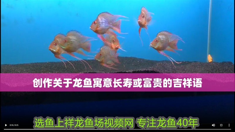 創作關于龍魚寓意長壽或富貴的吉祥語