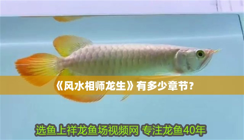 《風水相師龍生》有多少章節？