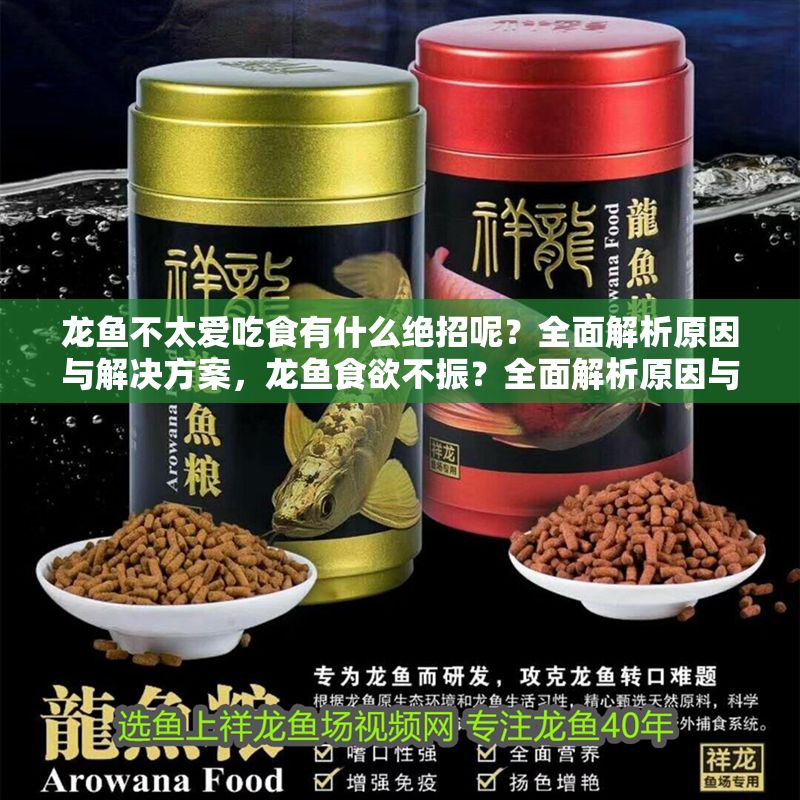 龍魚不太愛吃食有什么絕招呢？全面解析原因與解決方案，龍魚食欲不振？全面解析原因與實用解決技巧