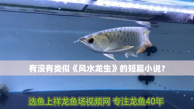 有沒有類似《風水龍生》的短篇小說？
