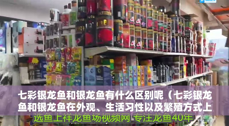 七彩銀龍魚和銀龍魚有什么區(qū)別呢（七彩銀龍魚和銀龍魚在外觀、生活習(xí)性以及繁殖方式上存在差異）
