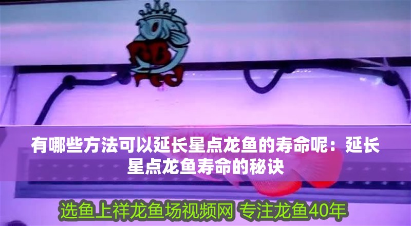 有哪些方法可以延長星點龍魚的壽命呢：延長星點龍魚壽命的秘訣