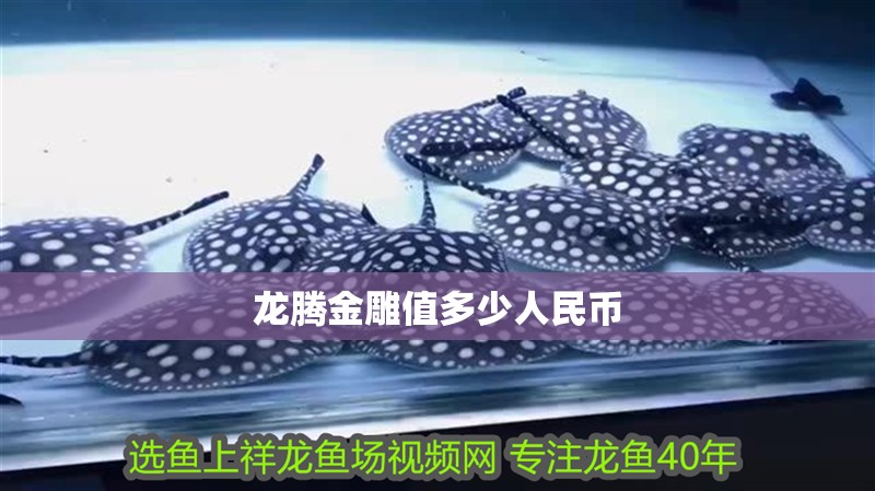 龍騰金雕值多少人民幣