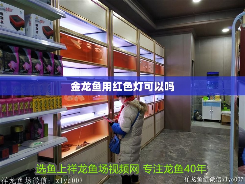 金龍魚用紅色燈可以嗎
