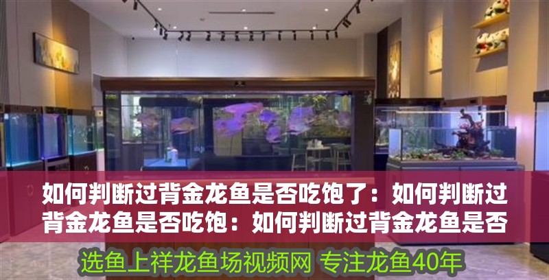 如何判斷過背金龍魚是否吃飽了：如何判斷過背金龍魚是否吃飽：如何判斷過背金龍魚是否吃飽